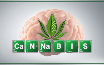 La marijuana “uccide” la proteina che scatena l’Alzheimer