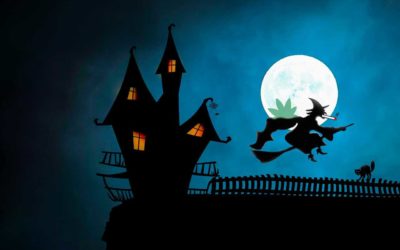 La cannabis è pericolosa? Torna la caccia alle streghe …!?