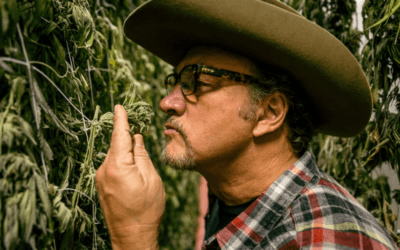 Business cannabis, Belushi e altri personaggi famosi diventano produttori
