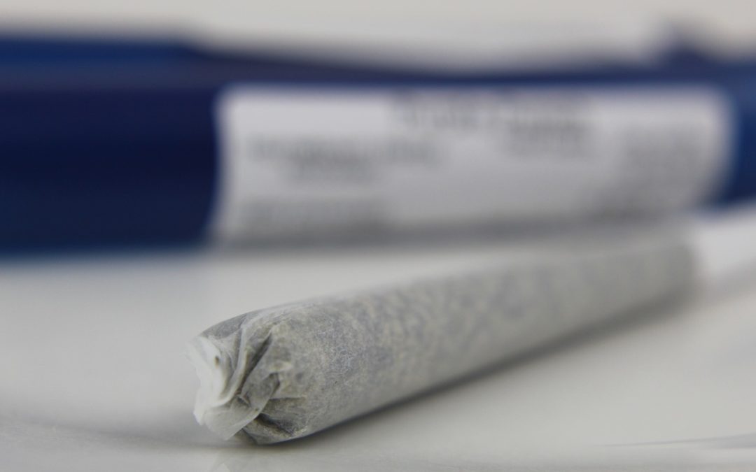 Cannabis Club Madrid, tutto quello che devi sapere