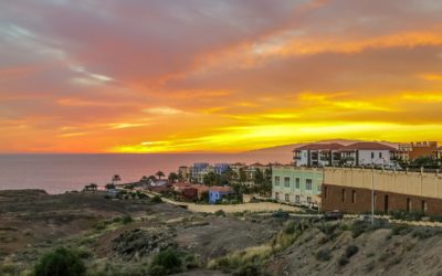 Dove trovare cannabis a Tenerife