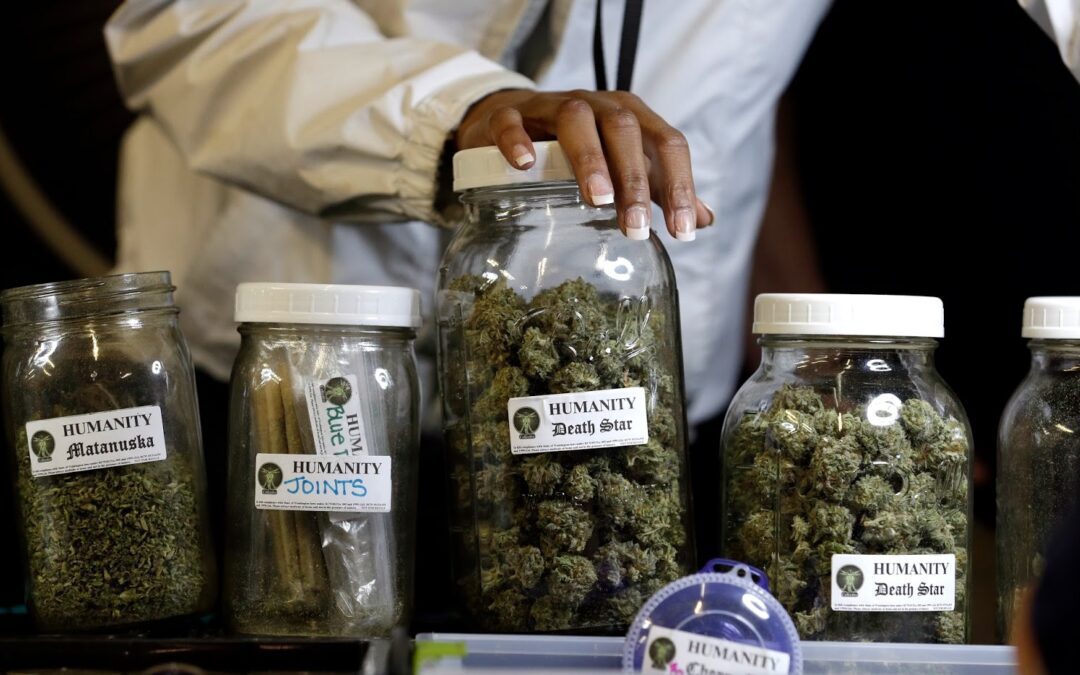 costo medio erba a barcellona