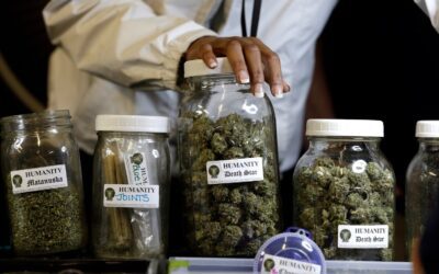 Il costo medio della cannabis a Barcellona: TUTTO CIÒ DA SAPERE