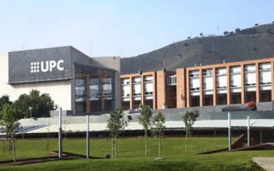 Vuoi diventare un imprenditore nel mondo della cannabis?