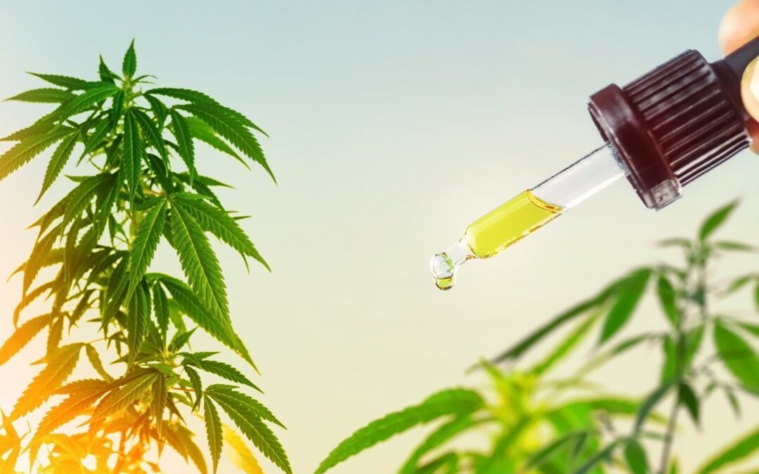 Quali sono i benefici del CBD