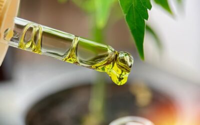 Quale erba legale sballa?