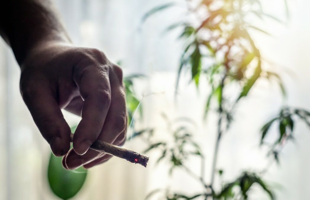 Quando prendere il CBD