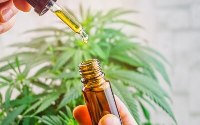 CBD vendita autorizzata