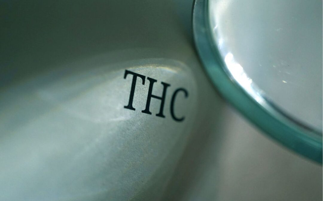 Valore THC consentito