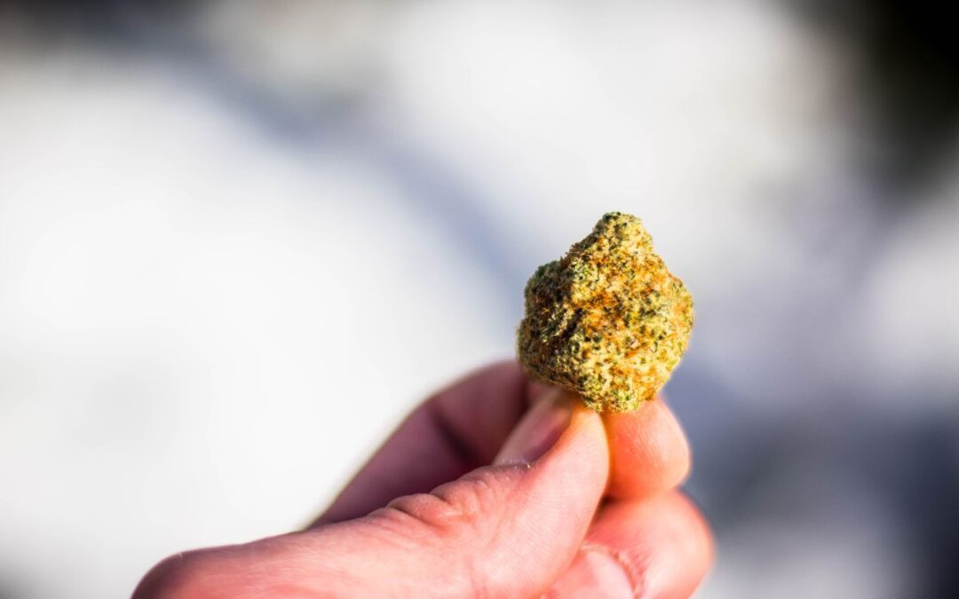 Germany Legalizes Marijuana for Recreational Use