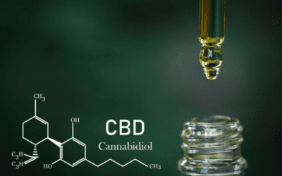 Where to buy CBD