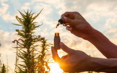 CBD legal sale