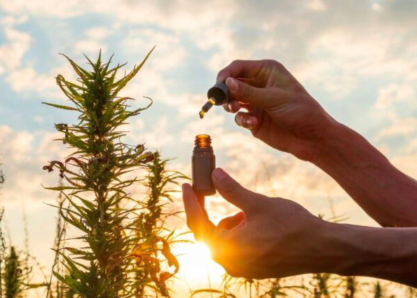Legal CBD oil