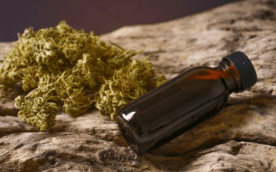 Which CBD to choose