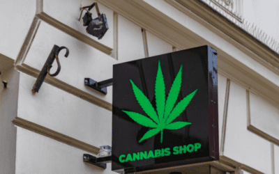 Cannabis social club Europe