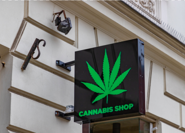 Cannabis social club Europe