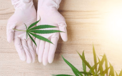 How much CBD for anxiety?