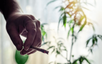 When to take CBD?