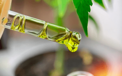What legal weed gets you high?