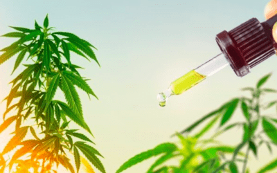 What are the benefits of CBD?
