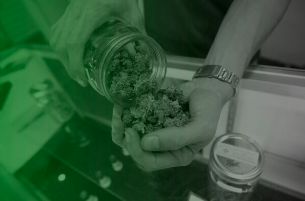 legalization cannabis in Italy