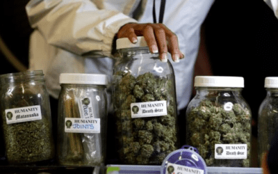 The average cost of cannabis in Barcelona