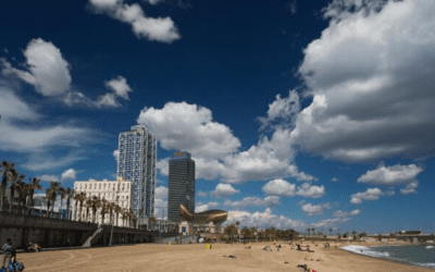 Reopening cannabis club Barcelona
