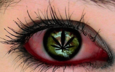 The British Medical Journal declares: legalize drugs!