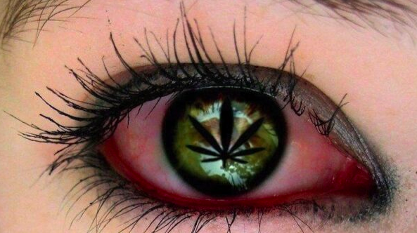 legalize drugs