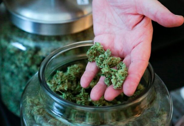 therapeutic cannabis