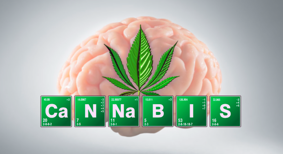 Alzheimer marijuana