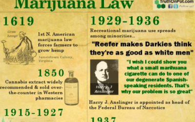 The history of hemp